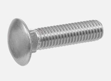 Carriage Bolt
