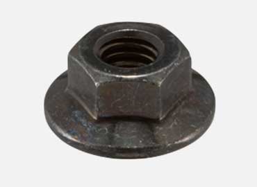 Flange Nut