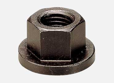 Flange Nut