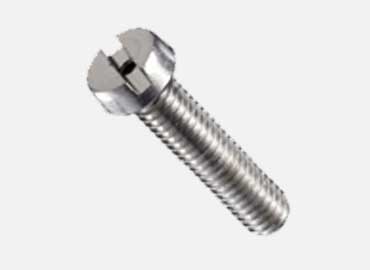 Cheese Head Screw